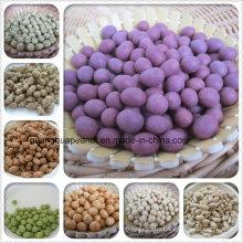 Hot Sale Coated Peanuts From China
